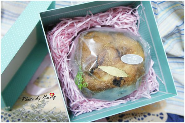 _DSC1683.JPG _DSC1683.JPG