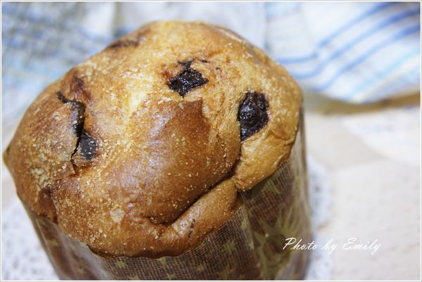 _DSC1735.JPG _DSC1735.JPG