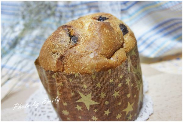 _DSC1731.JPG _DSC1731.JPG