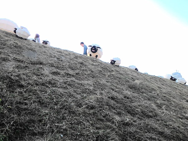 中央公園站:野放吉羊幸福久久~ 中央公園站:野放吉羊幸福久久~