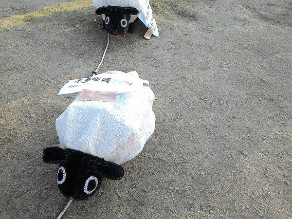 中央公園站:野放吉羊幸福久久~ 中央公園站:野放吉羊幸福久久~