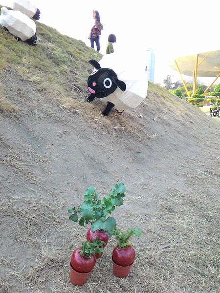 中央公園站:野放吉羊幸福久久~ 中央公園站:野放吉羊幸福久久~