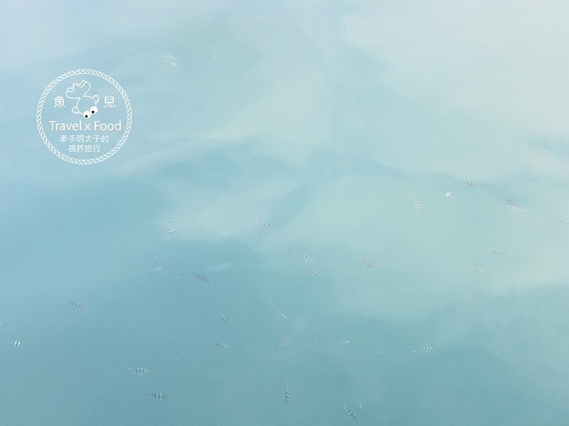 海天一色望幽谷，生鮮漁獲啖美食，山海雙路線親子一日遊 @魚兒 x 牽手明太子的「視」界旅行
