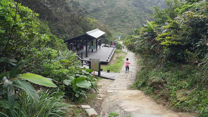 20160405_132209 (Copy).jpg