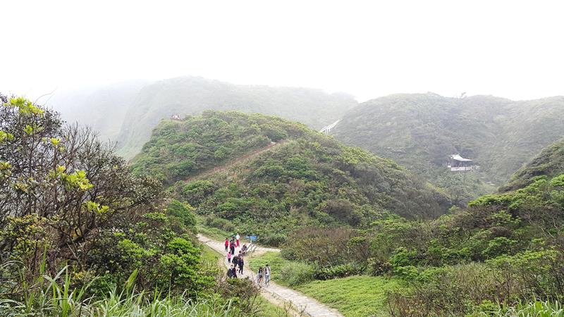 20160405_131959 (Copy).jpg