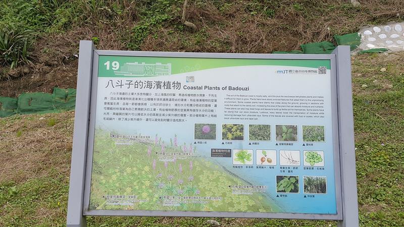 20160405_113901 (Copy).jpg