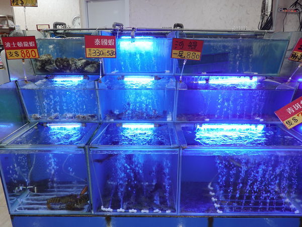 台中-珍寶燒肥鵝餐廳 (6).jpg