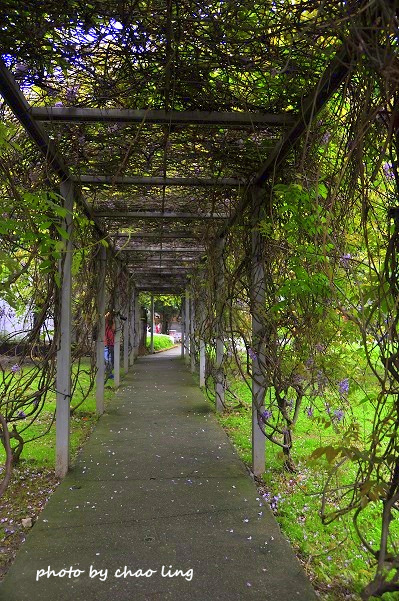 淡水老街-7.JPG - 2016春暖花開 淡水老街-7.JPG - 2016春暖花開