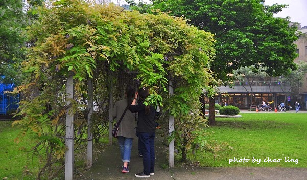 淡水老街-4.JPG - 2016春暖花開 淡水老街-4.JPG - 2016春暖花開