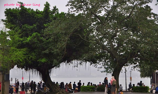 淡水老街-18.JPG - 2016春暖花開 淡水老街-18.JPG - 2016春暖花開