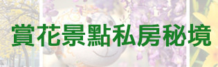  @強生與小吠的Hyper人蔘~
