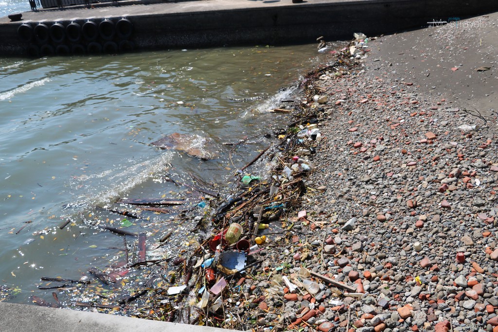 【漫步淡水 #1】隨拍筆記 x 溫室集．藝術工坊