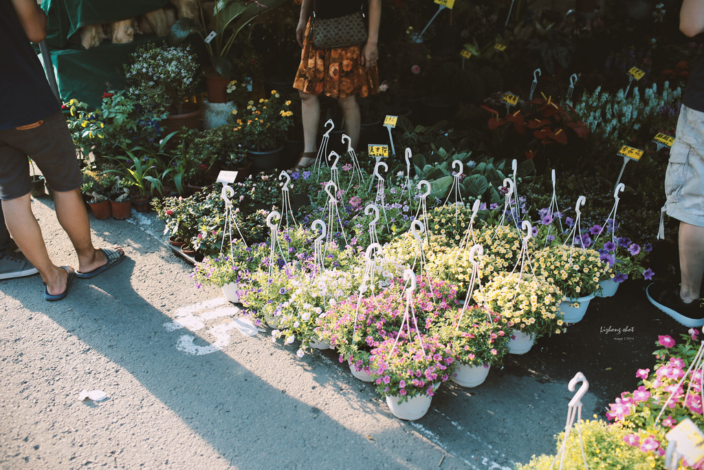 一些流金歲月的新竹單日慢行 一些流金歲月的新竹單日慢行