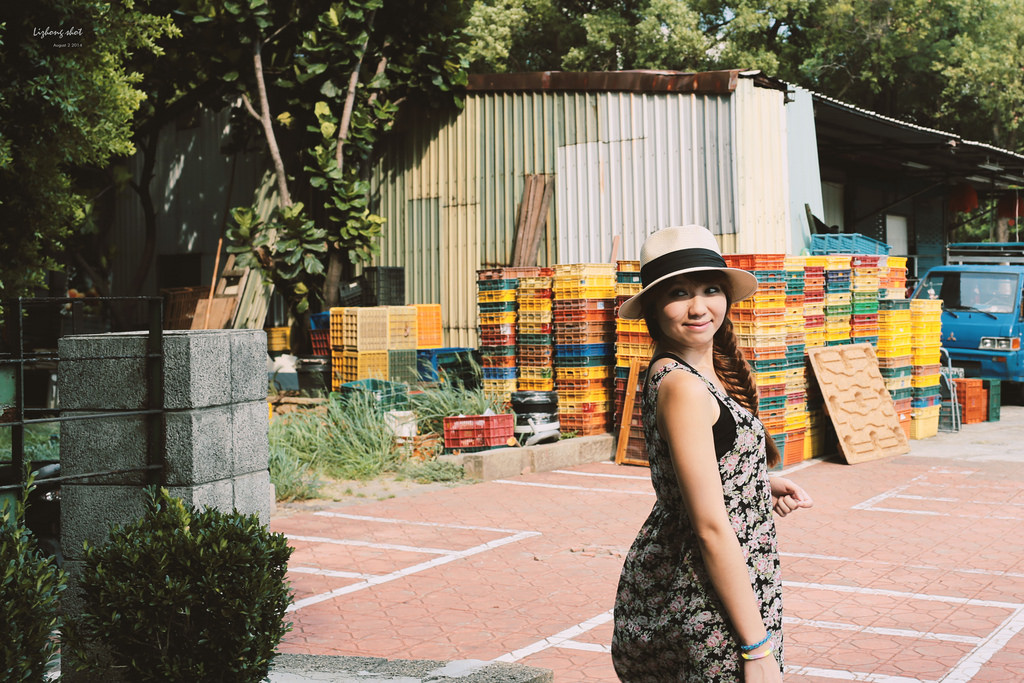 一些流金歲月的新竹單日慢行 一些流金歲月的新竹單日慢行