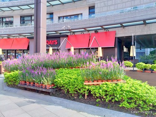 Amusement park at plaza of Uni-President Hankyu department store Taipei,SJKen , Oct, 2019