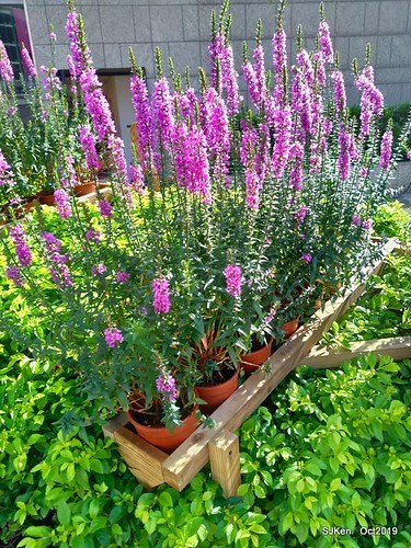 Amusement park at plaza of Uni-President Hankyu department store Taipei,SJKen , Oct, 2019
