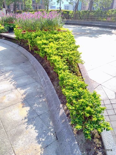 Amusement park at plaza of Uni-President Hankyu department store Taipei,SJKen , Oct, 2019