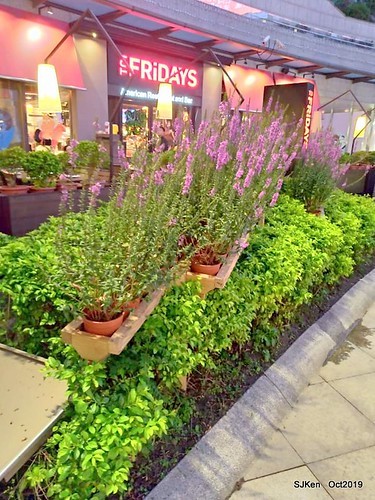 Amusement park at plaza of Uni-President Hankyu department store Taipei,SJKen , Oct, 2019