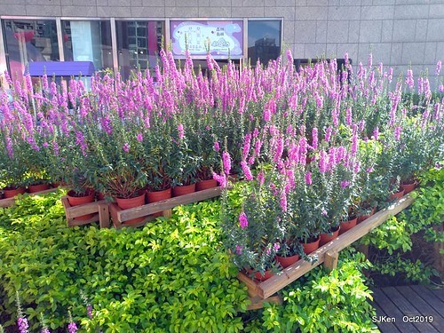 Amusement park at plaza of Uni-President Hankyu department store Taipei,SJKen , Oct, 2019