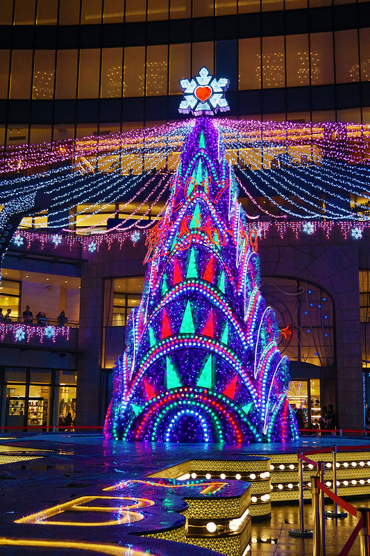 DSC01116