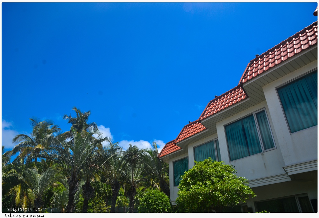 DSC_8517.jpg DSC_8517.jpg