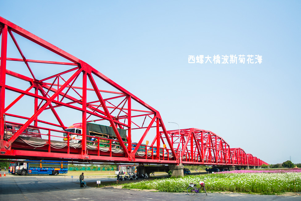｜雲林景點｜西螺大橋十公頃波斯菊花海盛開中，就像打翻了調色盤顏料 - 阿婷的旅行札記。