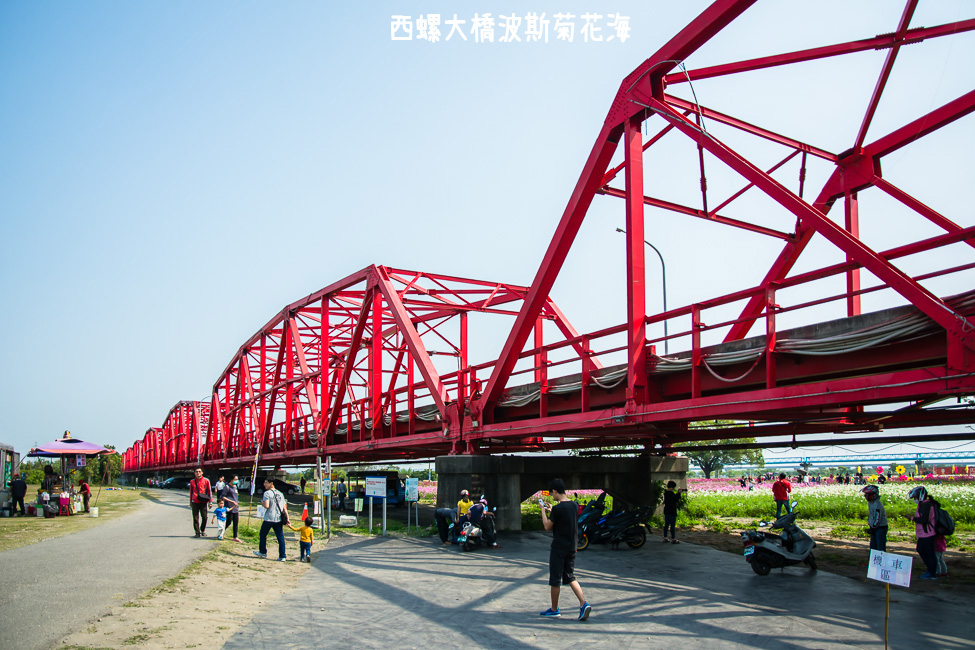 ｜雲林景點｜西螺大橋十公頃波斯菊花海盛開中，就像打翻了調色盤顏料 - 阿婷的旅行札記。
