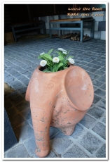 默爾MORE義大利餐廳：台中義式料理．處處皆美，好拍到炸的經典義式餐廳──默爾pasta & pizza