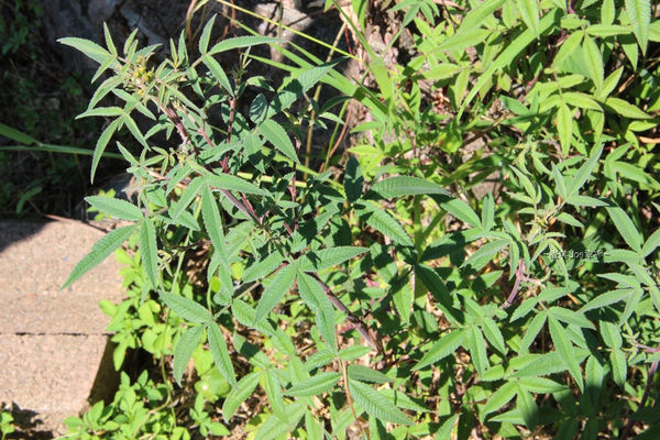 IMG_3840.jpg IMG_3840.jpg