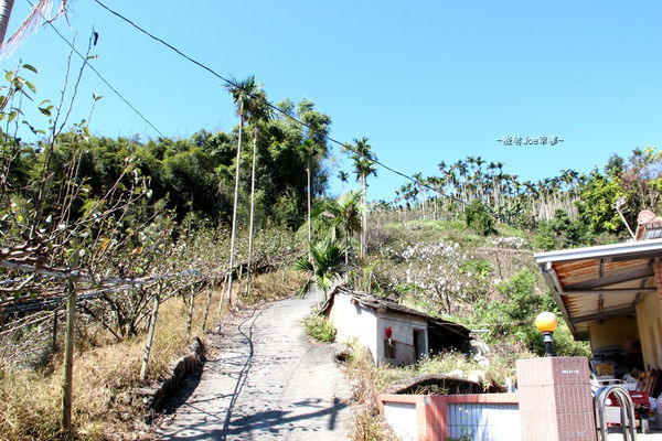 IMG_3933.jpg IMG_3933.jpg