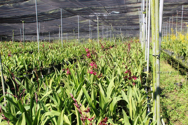 IMG_3871.jpg IMG_3871.jpg