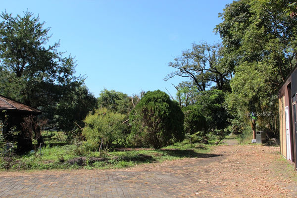 IMG_3905.jpg IMG_3905.jpg