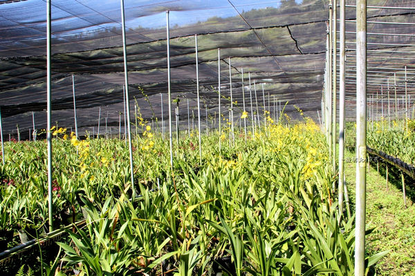 IMG_3860.jpg IMG_3860.jpg