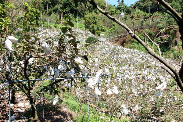 IMG_3938.jpg IMG_3938.jpg