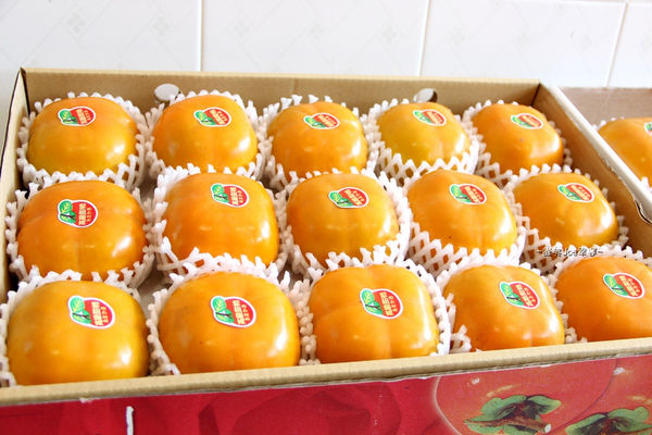 IMG_3928.jpg IMG_3928.jpg