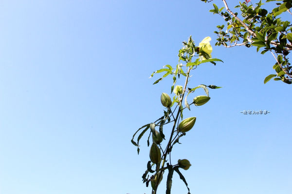 IMG_3845.jpg IMG_3845.jpg