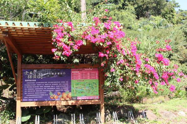 IMG_3899.jpg IMG_3899.jpg