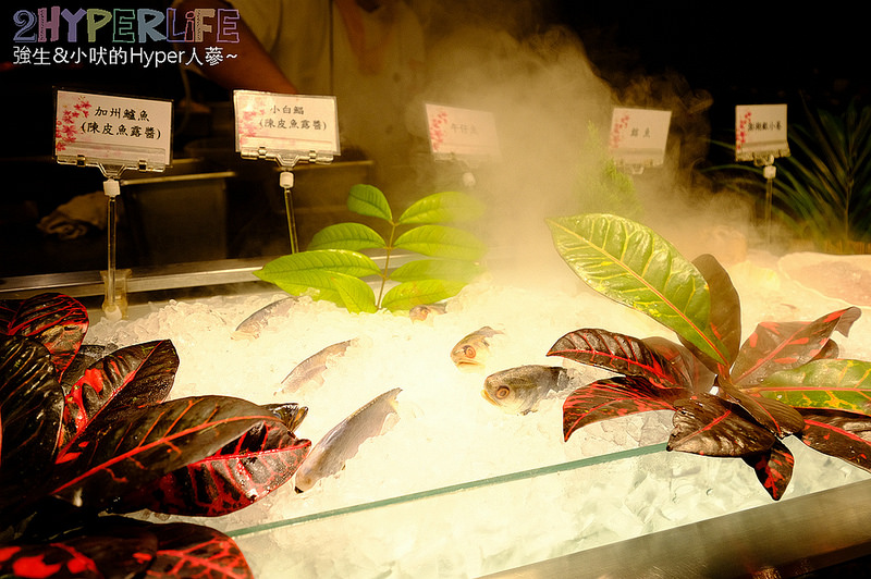  @強生與小吠的Hyper人蔘~