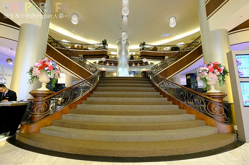  @強生與小吠的Hyper人蔘~