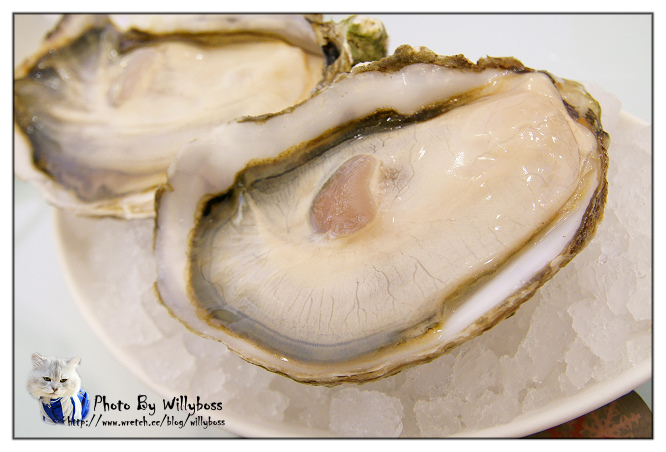 新天地自助百匯繽紛聖誕嘉年華(台中市)