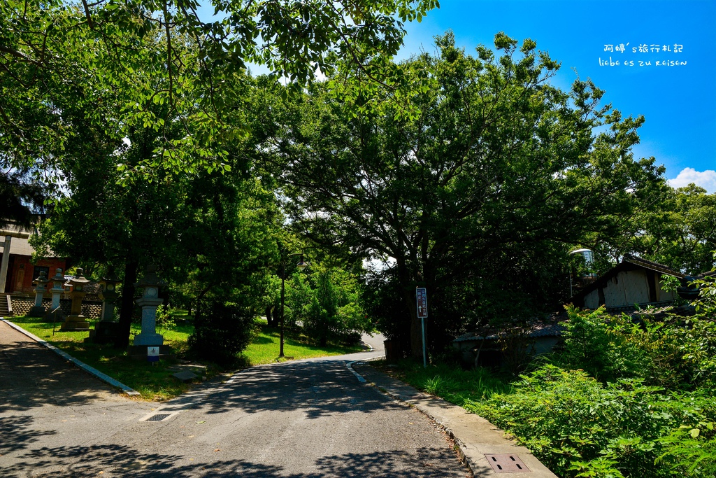 DSC_1815.jpg DSC_1815.jpg