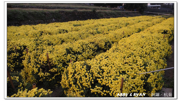 1371607861-1151386070