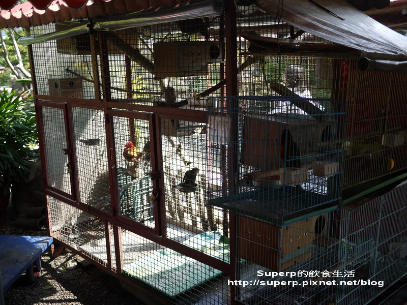 [餐廳食記]台中大坑的龍莊之極品脆皮烤乳豬