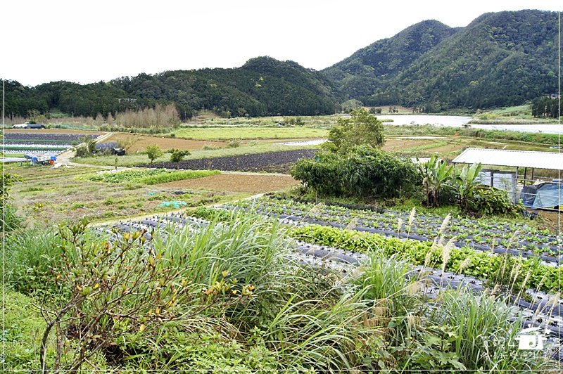 宜蘭縣員山鄉 野夫炊煙