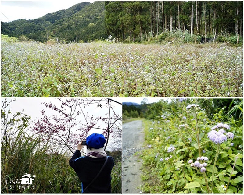 宜蘭縣員山鄉 野夫炊煙