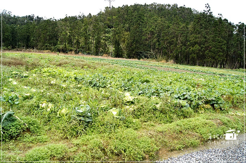 宜蘭縣員山鄉 野夫炊煙