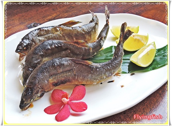 野夫炊煙：✜ 享受古樸慢活滴山野秘境合菜料理－「野夫炊煙」