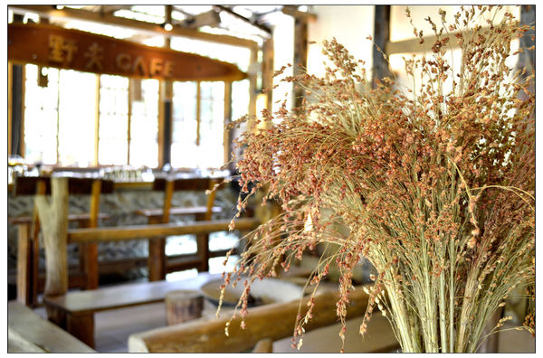 _DSC3550.JPG _DSC3550.JPG