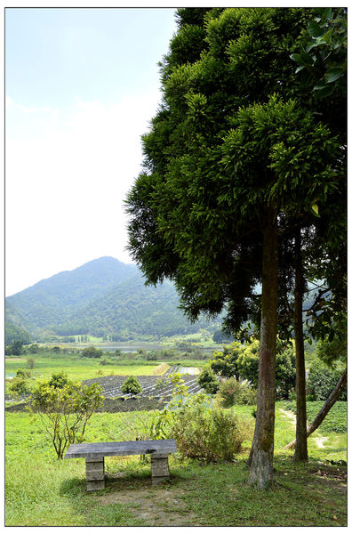 _DSC3564.JPG _DSC3564.JPG