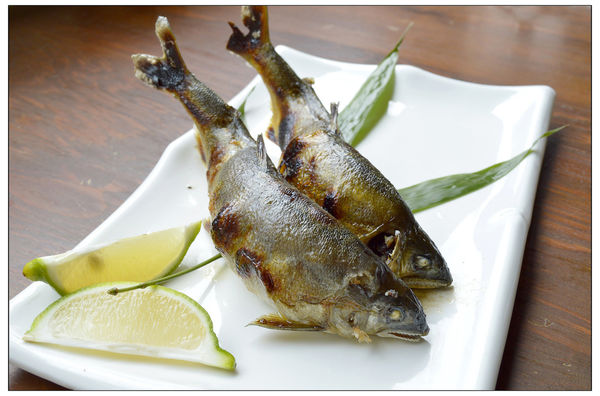 _DSC3472.JPG _DSC3472.JPG